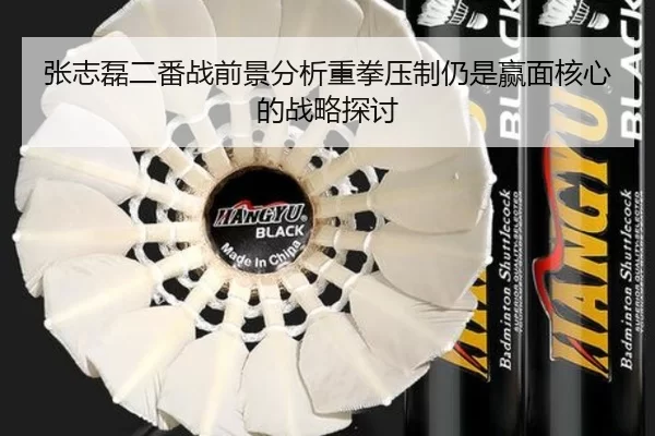 张志磊二番战前景分析重拳压制仍是赢面核心的战略探讨